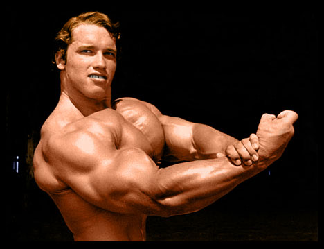 Arnold Schwarzenegger Affair