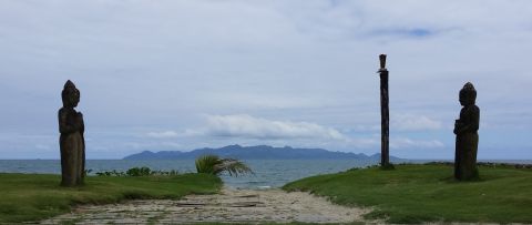 A Dragon In Fiji