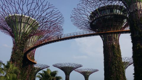 singapore2